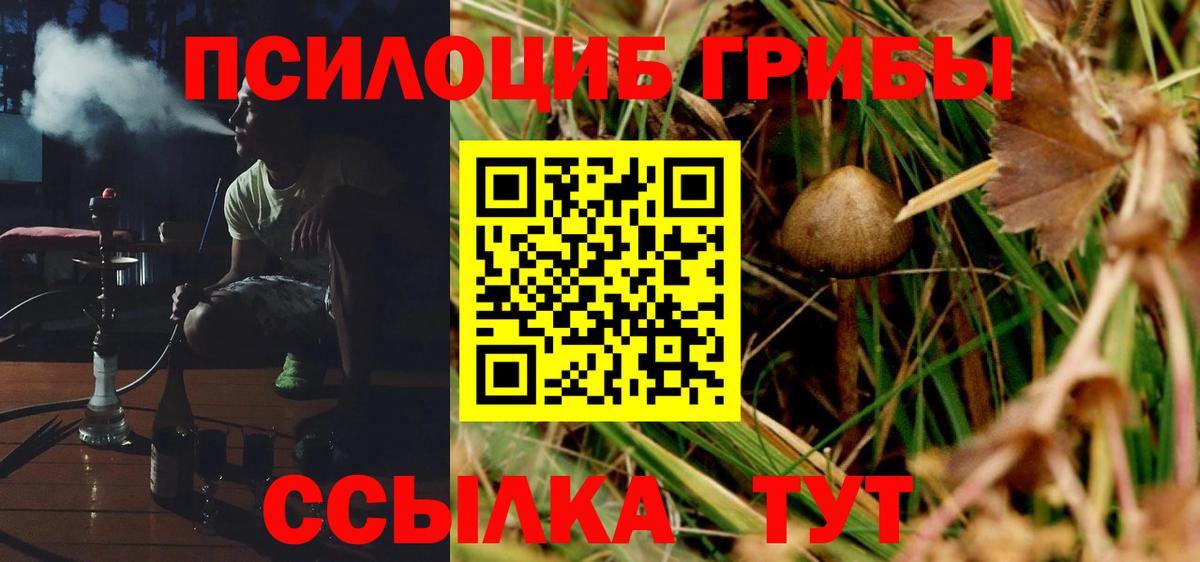 Псилоцибиновые грибы Magic Shrooms Ялуторовск